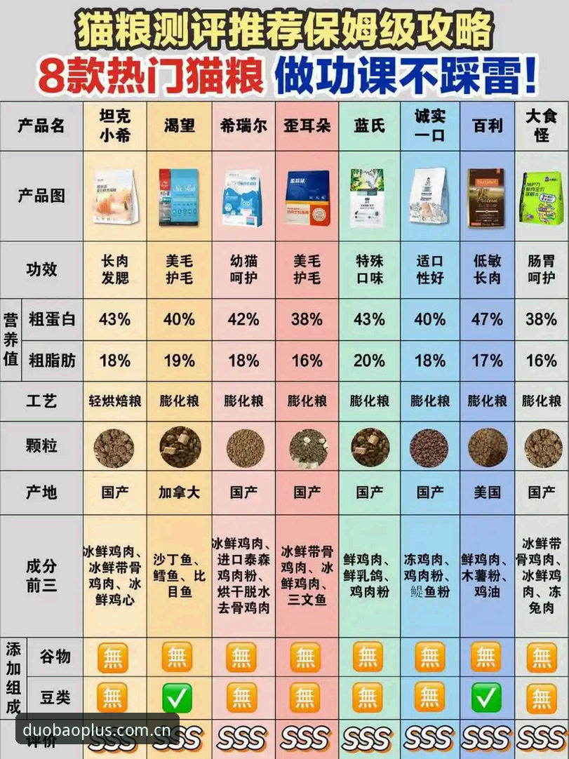 资深用户实测：多宝体育官方版最新版v3.2.1使用心得与实战指南
